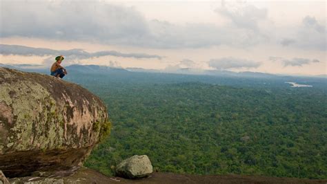 Protecting the Amazon and our climate in solidarity with .